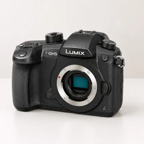 Used Panasonic Lumix GH5