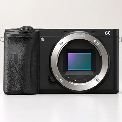 Used Sony α6600